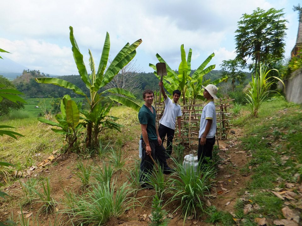 Three people stand among tall banana plants in a lush agricultural field with green hills in the background.